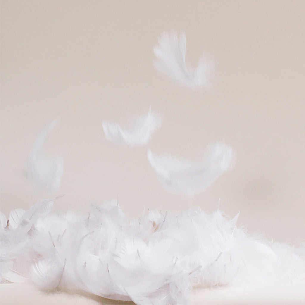 Down Comforter