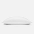 Down Pillow - Standard / Soft